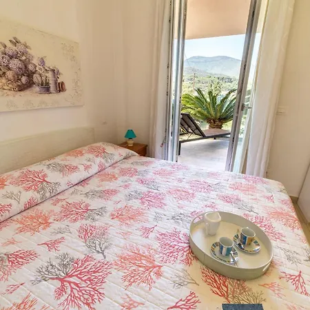Marina Apartment